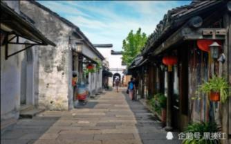 冷知识分享平台-北京商场上架千元一斤荔枝,为什么荔枝能卖这么贵?